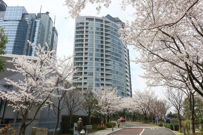 吉沢亮の自宅マンションはどこ？港区の芸能人が多く住む高級マンション？