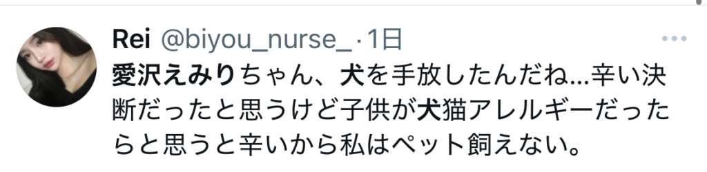 愛沢えみりの愛犬の現在